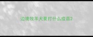 边境牧羊犬要打什么疫苗