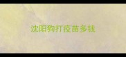沈阳狗打疫苗多钱