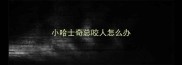 小哈士奇总咬人怎么办