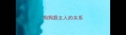 狗狗跟主人的关系