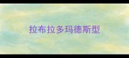 拉布拉多玛德斯型
