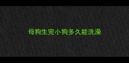 母狗生完小狗多久能洗澡