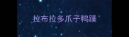 拉布拉多爪子鸭蹼