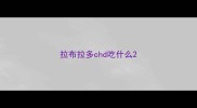 拉布拉多chd吃什么