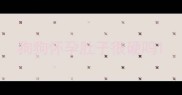 狗狗怀孕肚子很硬吗