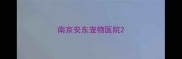 南京安东宠物医院