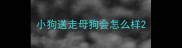 小狗送走母狗会怎么样