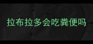 拉布拉多会吃粪便吗