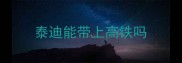 泰迪能带上高铁吗