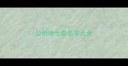 公的哈士奇名字大全