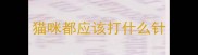 猫咪都应该打什么针