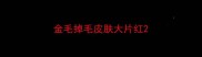 金毛掉毛皮肤大片红