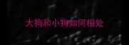 大狗和小狗如何相处