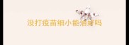 没打疫苗细小能治好吗