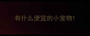 有什么便宜的小宠物