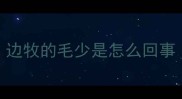边牧的毛少是怎么回事