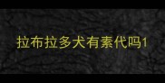 拉布拉多犬有素代吗