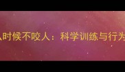 拉布拉多什么时候不咬人科学训练与行为矫正全攻略