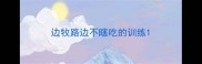 边牧路边不瞎吃的训练