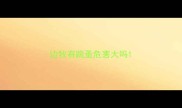 边牧有跳蚤危害大吗