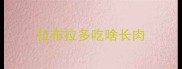 拉布拉多吃啥长肉