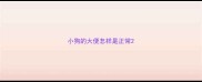 小狗的大便怎样是正常