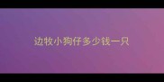 边牧小狗仔多少钱一只