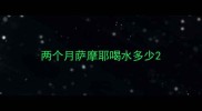 两个月萨摩耶喝水多少