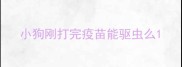 小狗刚打完疫苗能驱虫么