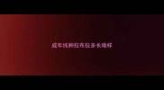 成年纯种拉布拉多长啥样