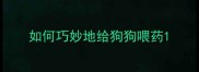 如何巧妙地给狗狗喂药