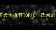 国内拉布拉多犬舍推荐TOP10选犬必看避坑指南