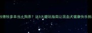 边牧德牧串串当土狗养这5大避坑指南让混血犬健康快乐到老
