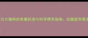 3个月大猫咪的食量标准与科学喂养指南幼猫营养需求全