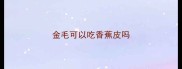 金毛可以吃香蕉皮吗