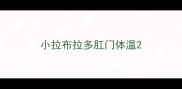 小拉布拉多肛门体温