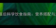 狗狗打完疫苗后科学饮食指南营养搭配与注意事项全