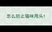 怎么防止猫咪甩头