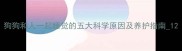 狗狗和人一起睡觉的五大科学原因及养护指南1