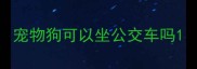 宠物狗可以坐公交车吗
