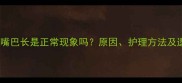 拉布拉多犬嘴巴长是正常现象吗原因护理方法及遗传因素全