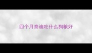 四个月泰迪吃什么狗粮好