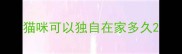 猫咪可以独自在家多久