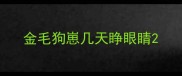 金毛狗崽几天睁眼睛