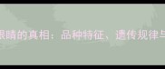 哈士奇蓝眼睛的真相品种特征遗传规律与养护指南