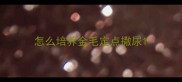 怎么培养金毛定点撒尿