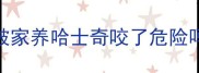 被家养哈士奇咬了危险吗