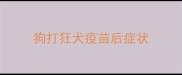 狗打狂犬疫苗后症状