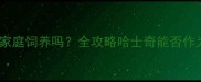 哈士奇适合家庭饲养吗全攻略哈士奇能否作为理想宠物
