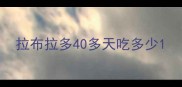 拉布拉多40多天吃多少